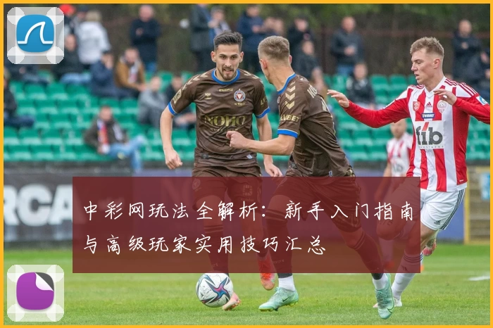 中彩网玩法全解析:新手入门指南与高级玩家实用技巧汇总