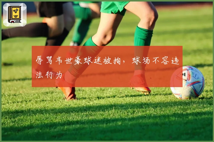 辱骂韦世豪球迷被拘,球场不容违法行为