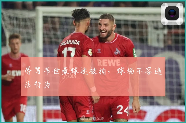 辱骂韦世豪球迷被拘，球场不容违法行为