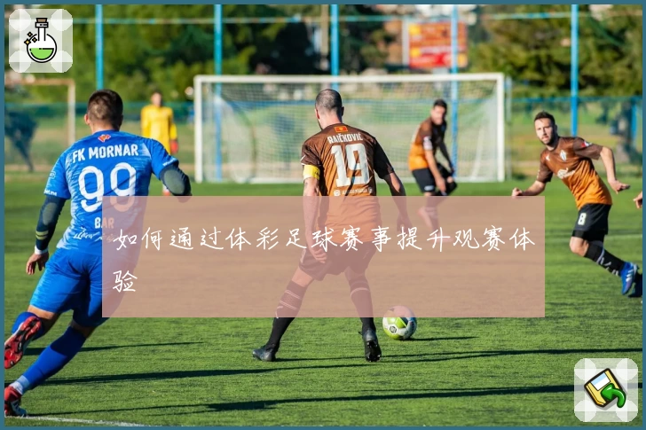 如何通过体彩足球赛事提升观赛体验