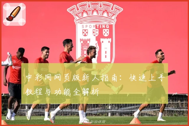 中彩网网页版新人指南:快速上手教程与功能全解析