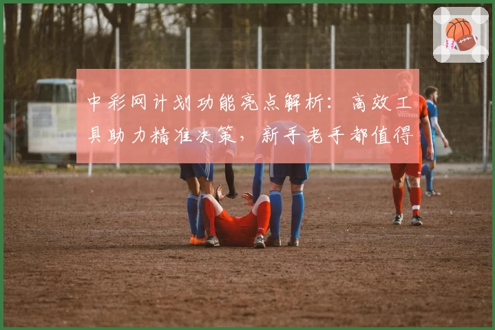 中彩网计划功能亮点解析：高效工具助力精准决策，新手老手都值得一试